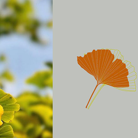 深圳品牌設計作品案例展示