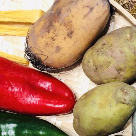 VI公司作品案例展示