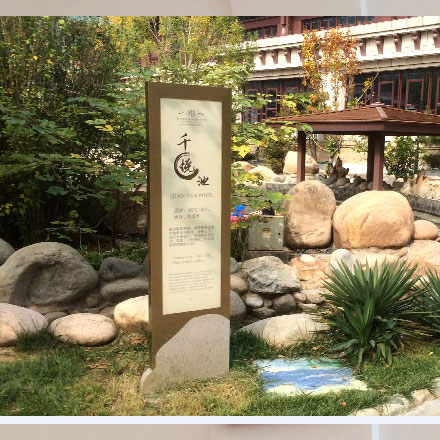 如何通過運動與健身網站設計吸引更多的會員和用戶？